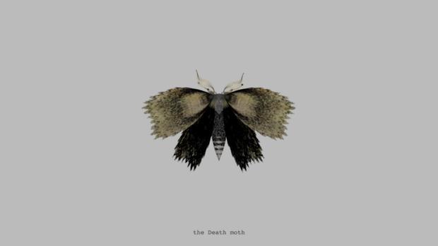 The Death Moth