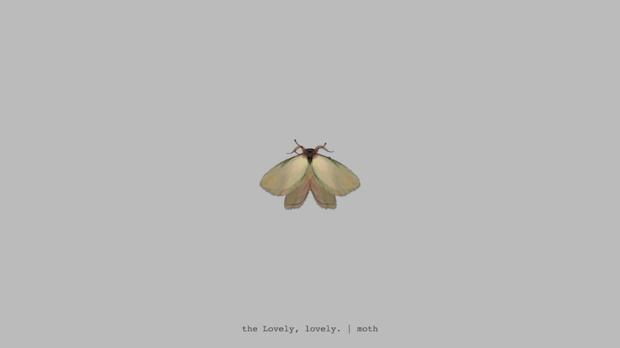 The Lovely, Lovely Moth