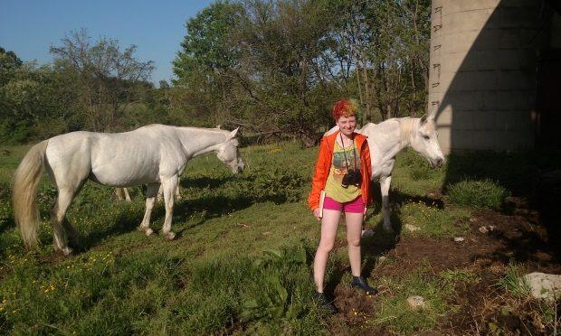 While on a field expedition to look for wasp nests, PhD student Julia Pilowsky stumbled upon feral horses. (Julia Pilowsky)