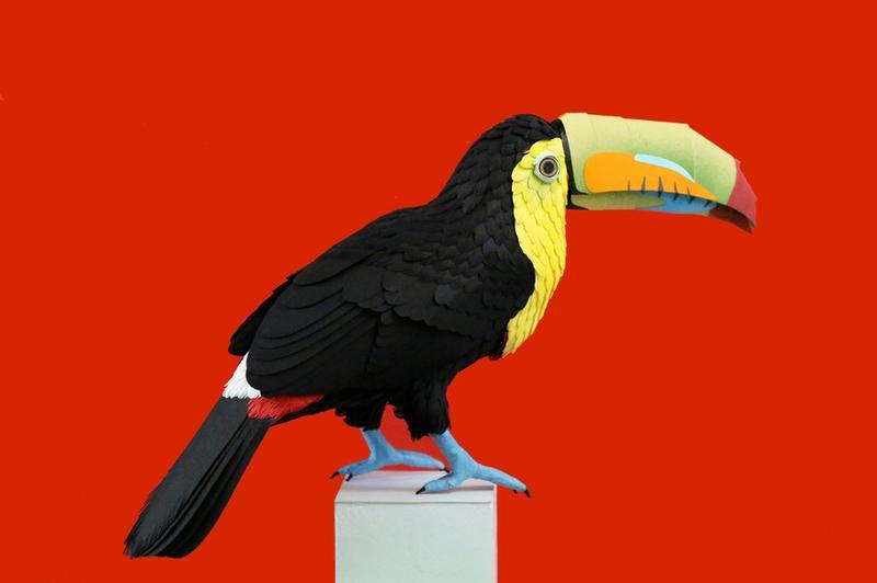 The artist Diana Beltran Herrera specializes in cut-paper sculptures like this toucan