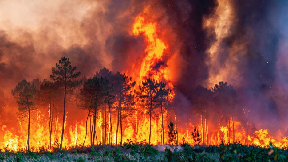 Avrupa, Fransa ve İspanya'da yangınları körükleyen sıcak hava dalgasında kavruluyor